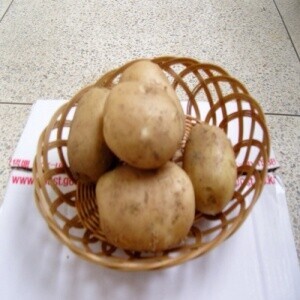 분나는 감자 10kg